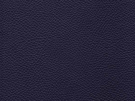 Leather Upholstery 南亞呼吸系列 皮革 沙發皮革 3858 墨藍色